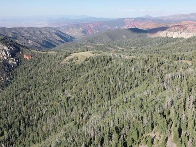 Land for sale in Brian Head, Utah