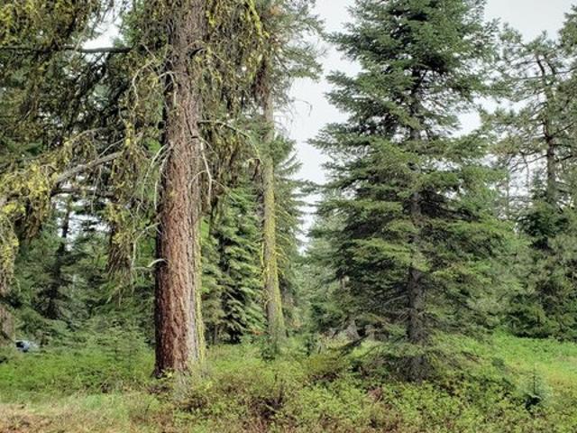 Land for sale in Donnelly, Idaho