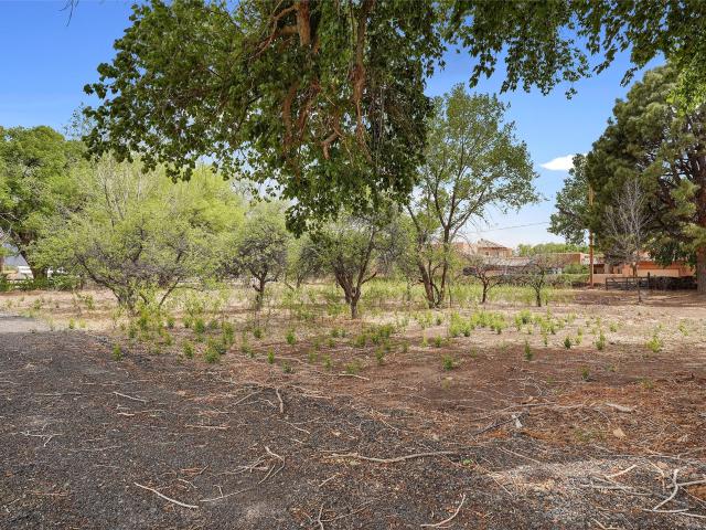Land for sale in Corrales, Sandoval County