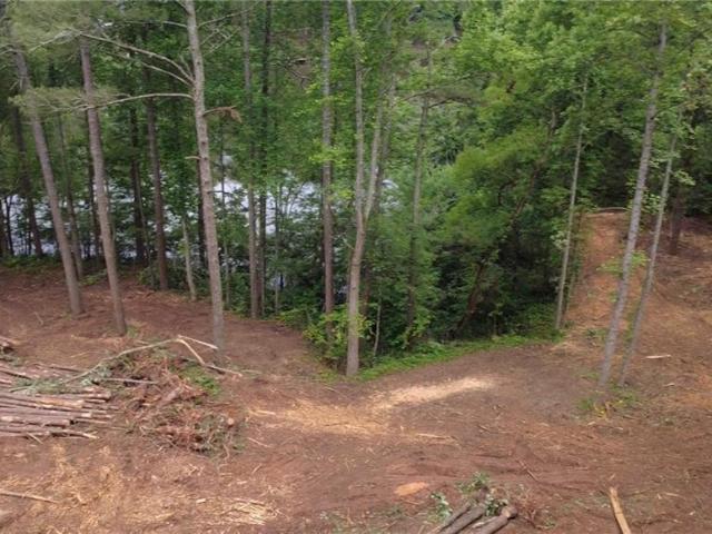 Land for sale in Bartow, Georgia