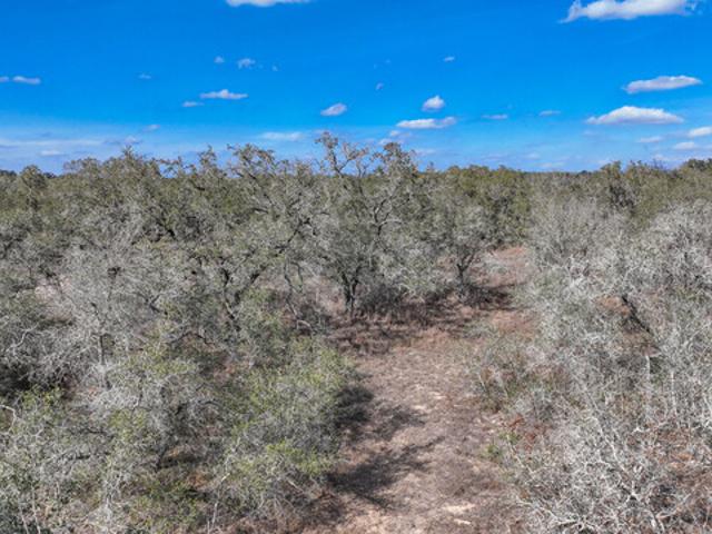 Land for sale in Poteet, Texas