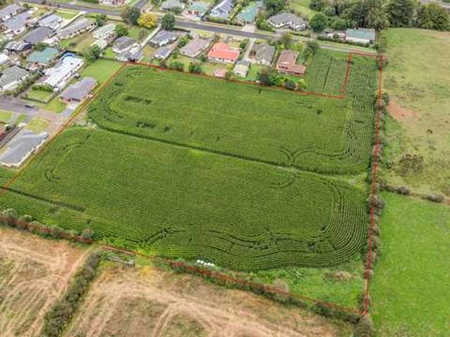 Land for sale in Pukekohe, Oroua County