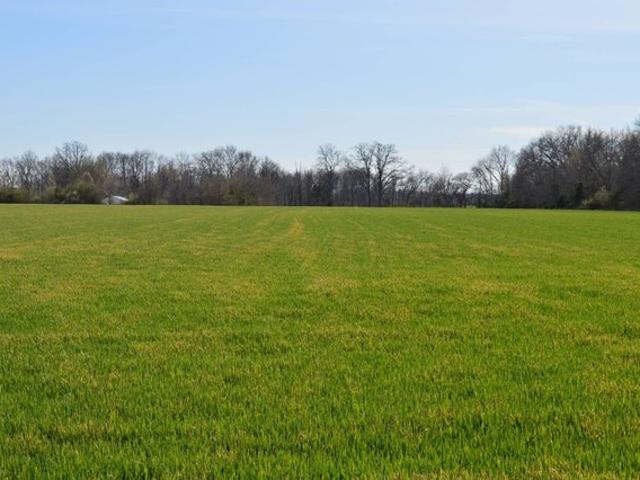 Land for sale in Mill Shoals, Illinois