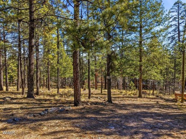 Land for sale in Alpine, Arizona