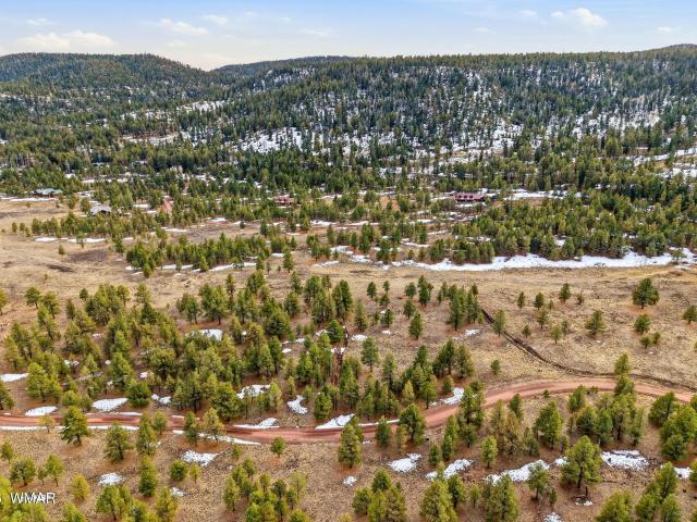 Land for sale in Arizona