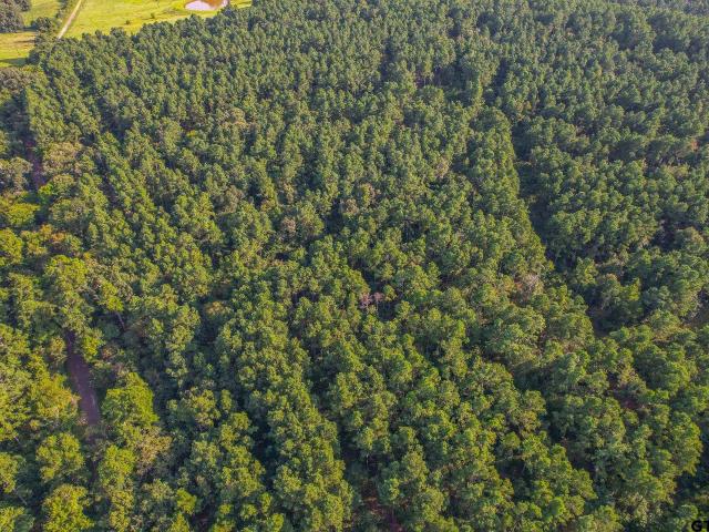 Property for sale in Frankston, Texas