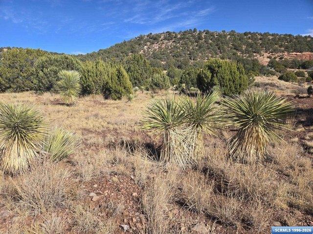Land for sale in Silver City, New Mexico