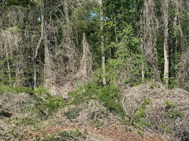 Land for sale in Virginia