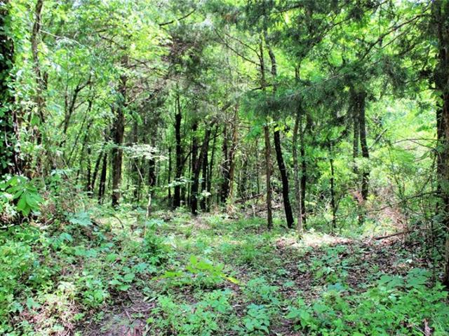 Land for sale in Boswell, Oklahoma