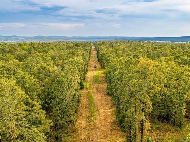 Land for sale in Welling, Cherokee County