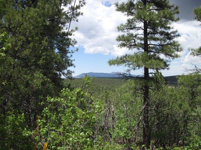 Land for sale in Placitas, New Mexico