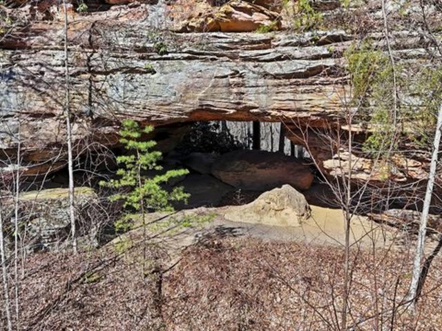 Land for sale in Powell, Kentucky