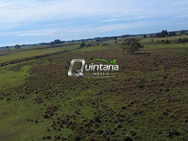 Sítio e chácara venda em Região Geográfica Imediata de Pelotas, Aglomeração Urbana do Sul