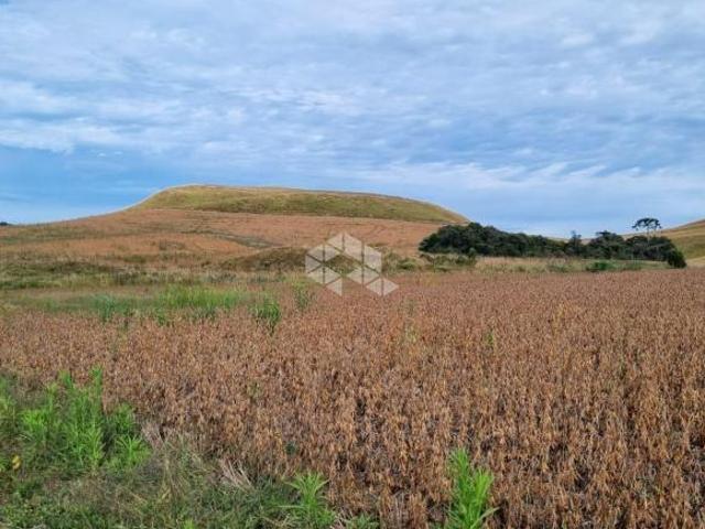Sítio e chácara venda em Região Geográfica Imediata de Caxias do Sul, São Francisco de Paula