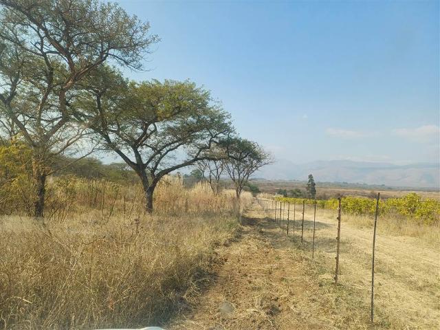 Farm for sale in Ehlanzeni, Mpumalanga