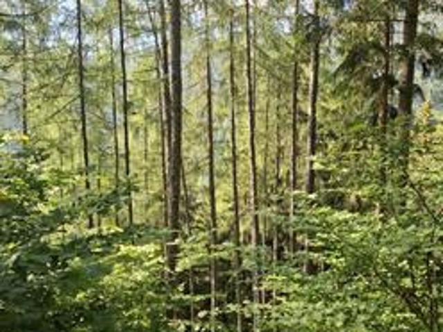 Grundstück kaufen in Steiermark
