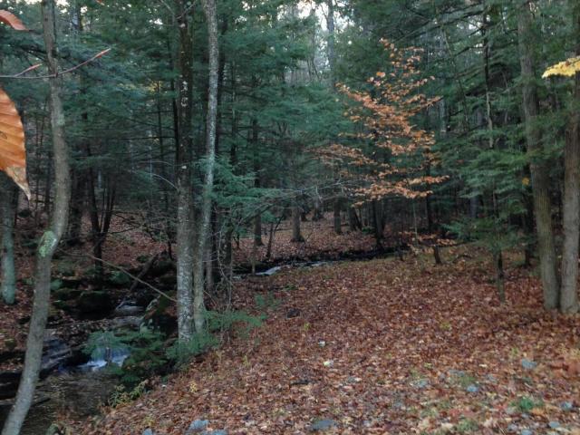 Land for sale in Athol, New York