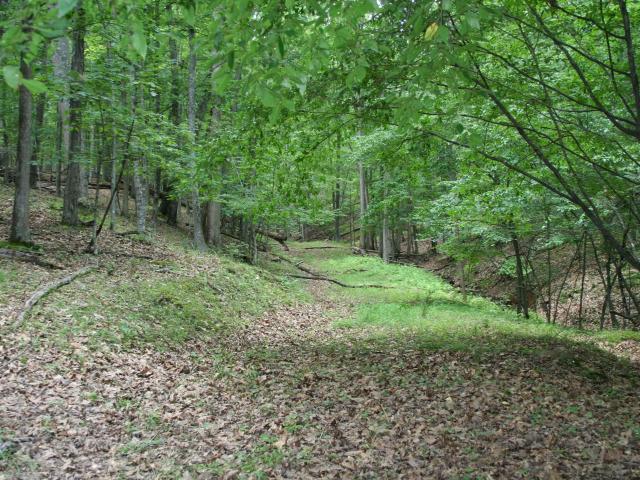 Land for sale in Virginia