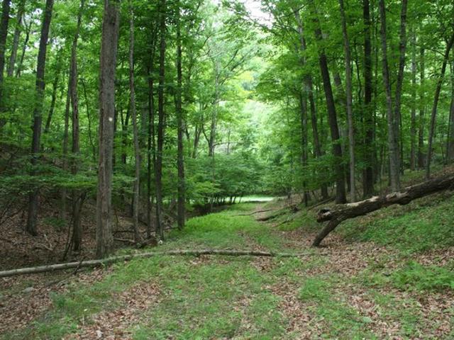 Land for sale in Virginia