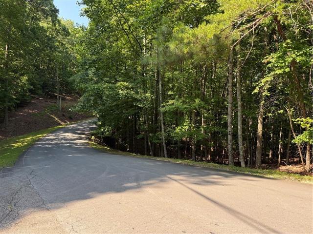 Land for sale in Waleska, Georgia