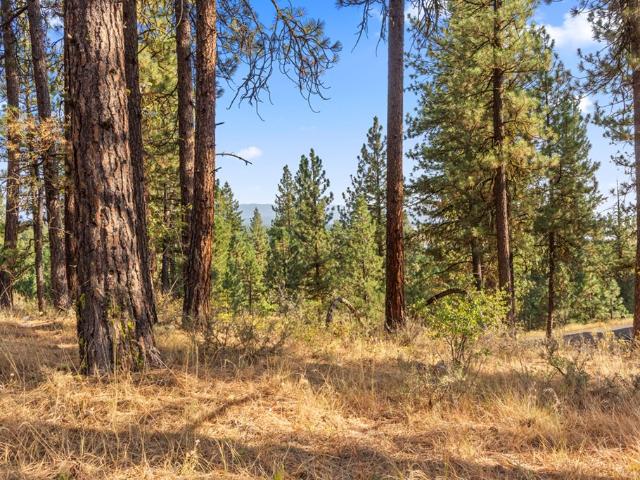 Land for sale in Cascade, Idaho