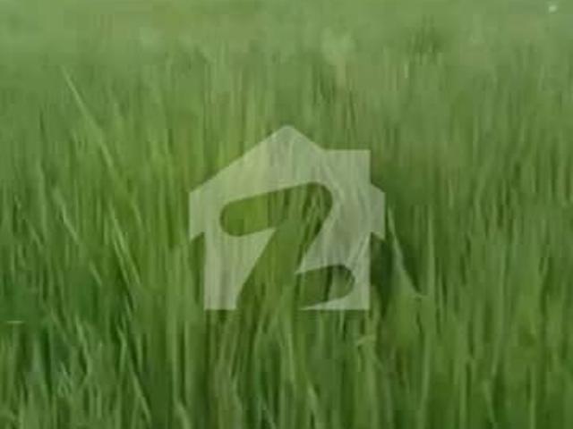 Land for sale in Rawalpindi, Islamabad Capital Territory