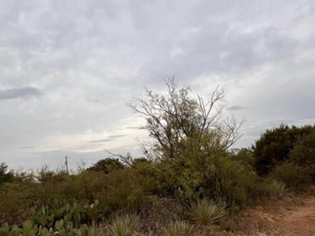 Land for sale in Spur, Dickens County