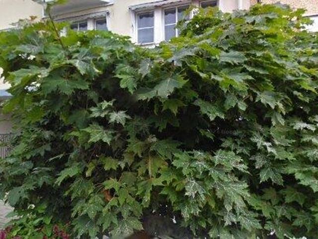 Lokal hyra i Vänersborg, Västra Götalands län