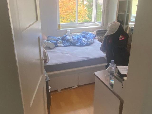 Studio mieten in Einigen, Zürich