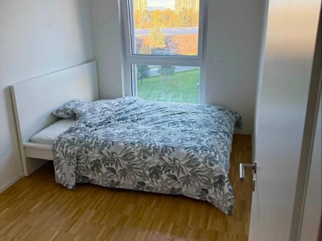 Zimmer mieten in Écoquartier Les Vergers, Meyrin