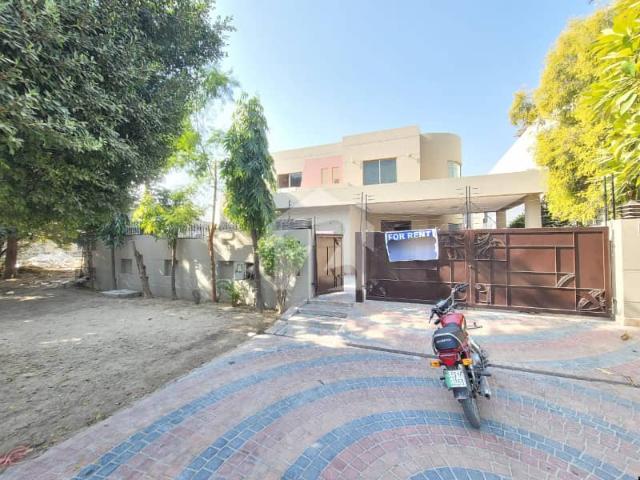 House for rent