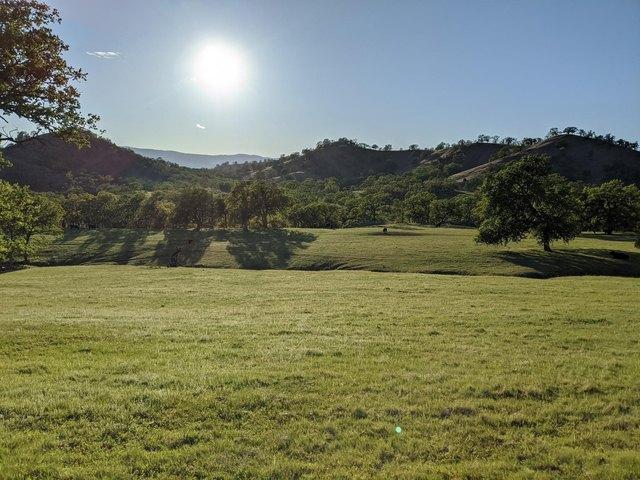 Land for sale in Glenn, California