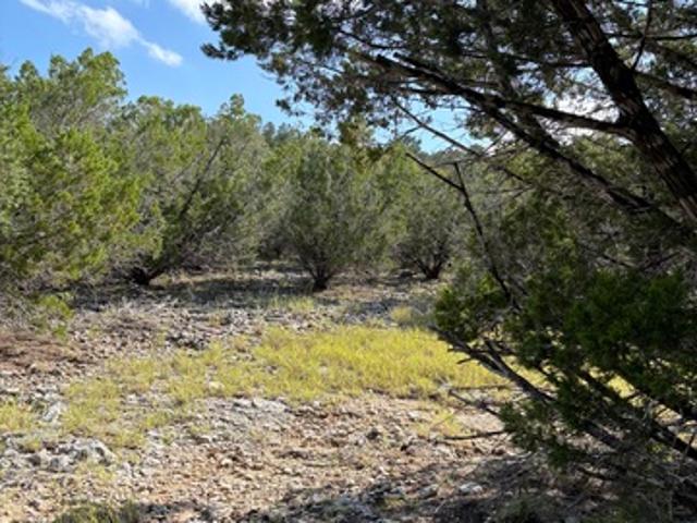 Land for sale in Leakey, Real County