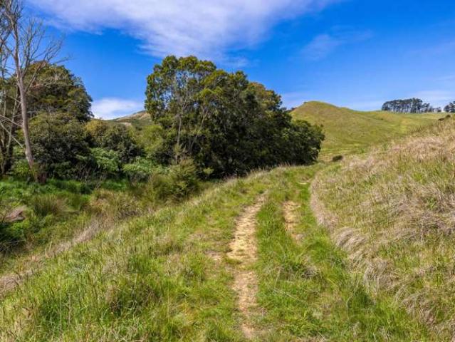 Land for sale in Orapiu, Waiheke