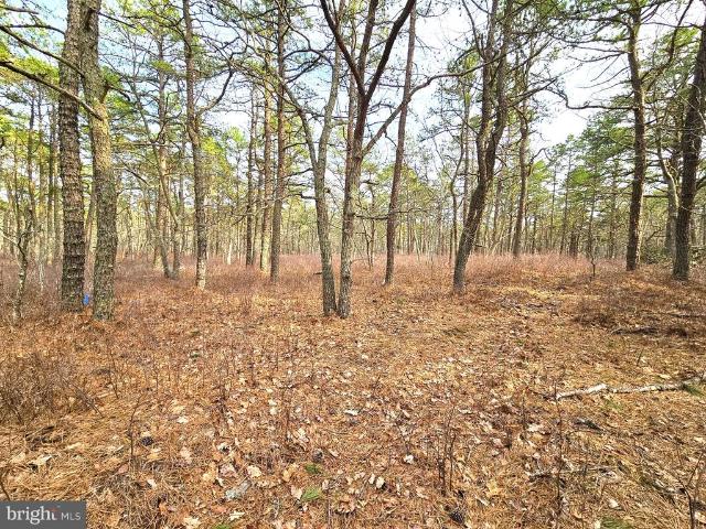 Land for sale in New Jersey