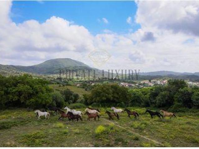 Terreno venda em Azeitão (São Lourenço e São Simão), Setúbal