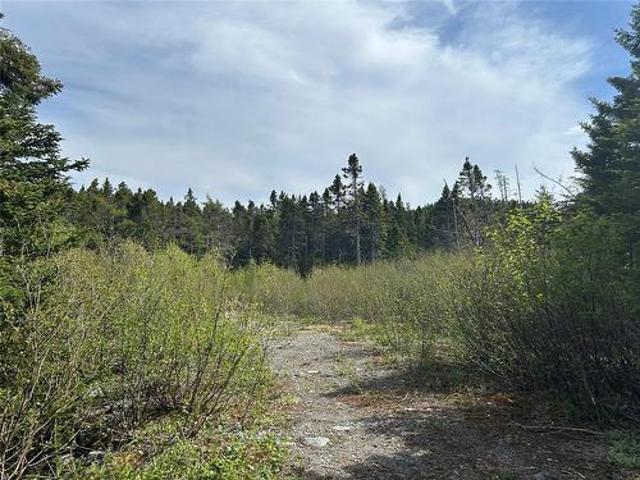 Land for sale in Spaniard's Bay, Newfoundland And Labrador