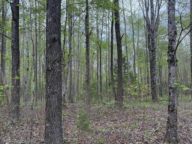 Land for sale in Virginia