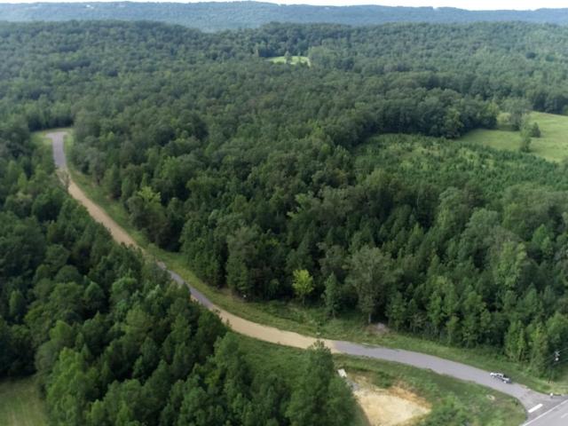Land for sale in Ashville, Alabama