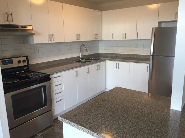 Apartment for rent in Scarborough—Agincourt, Toronto