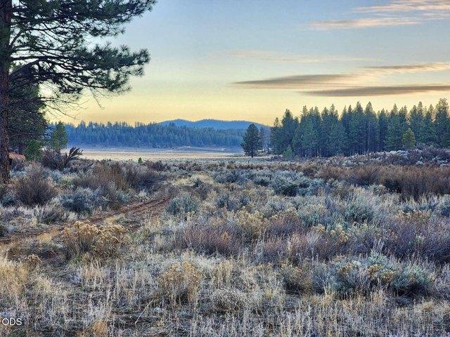 Land for sale in Oregonia, Oregon
