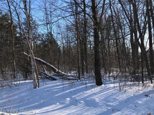 Land for sale in Michigan