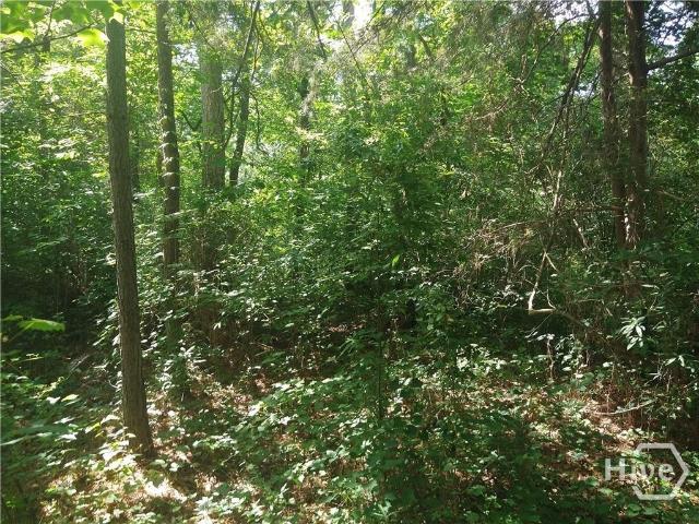 Land for sale in Georgia