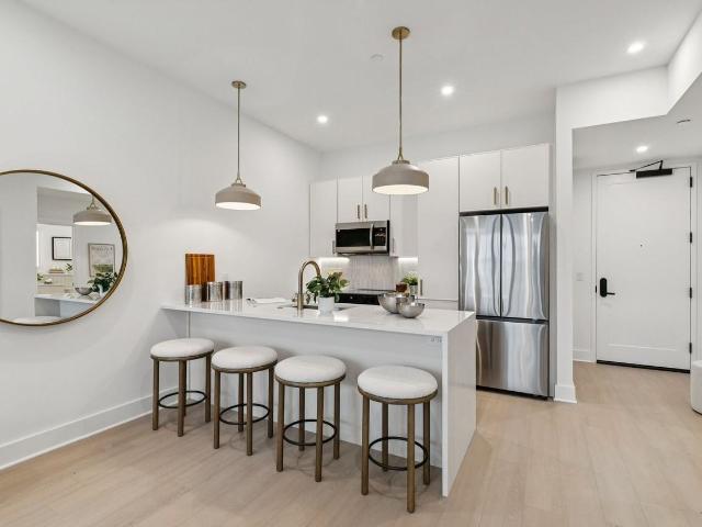 Apartment for rent in West Mount Airy, Philadelphia