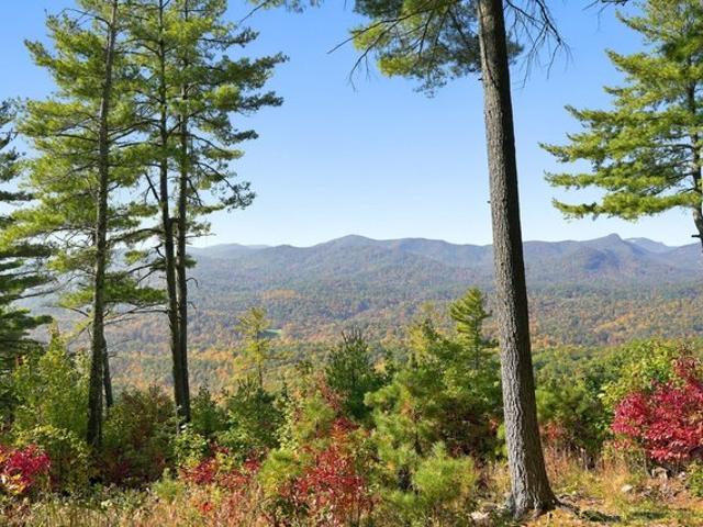 Land for sale in Sapphire, Transylvania County