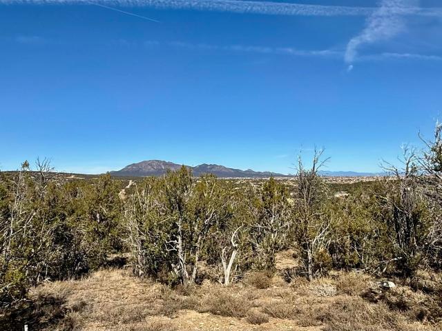 Land for sale in Edgewood, New Mexico