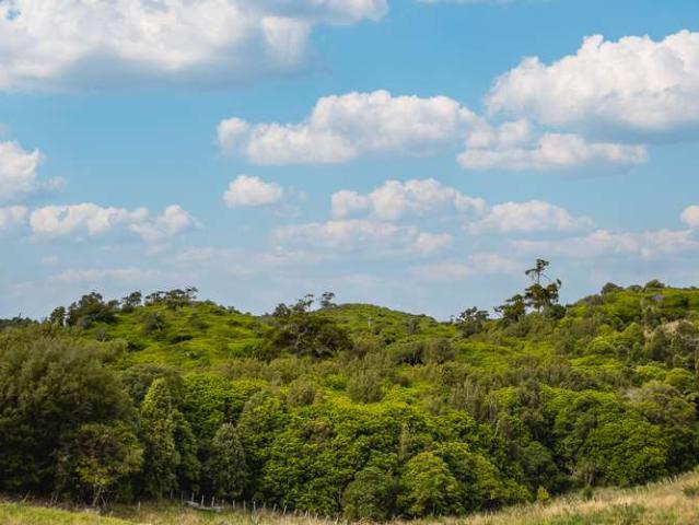 Land for sale in Waikanae, Wellington
