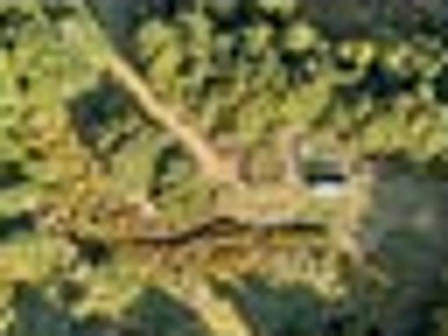 Land for sale in Korere, Tasman District