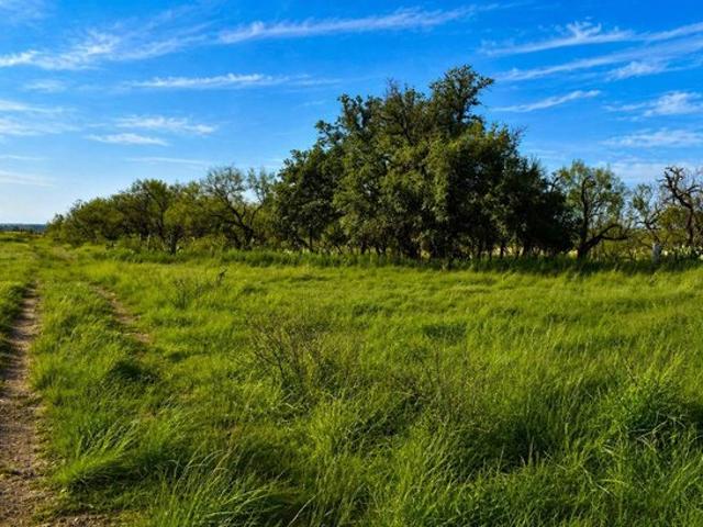Land for sale in Brady, Texas
