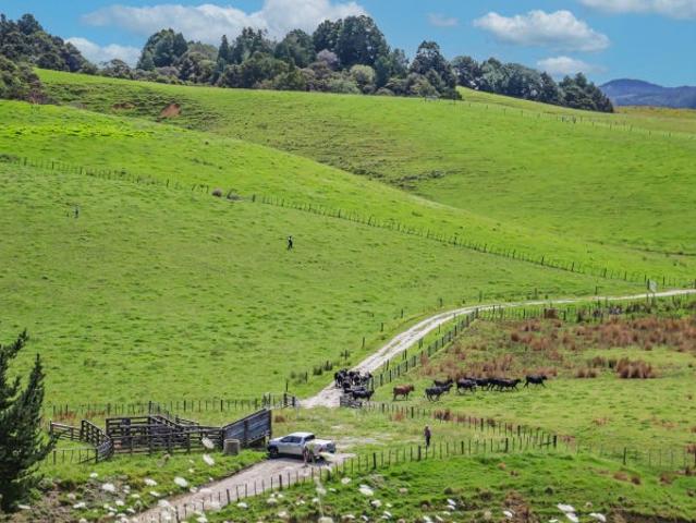 Land for sale in Kawau Island